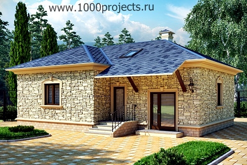  intex-101 Проект дома